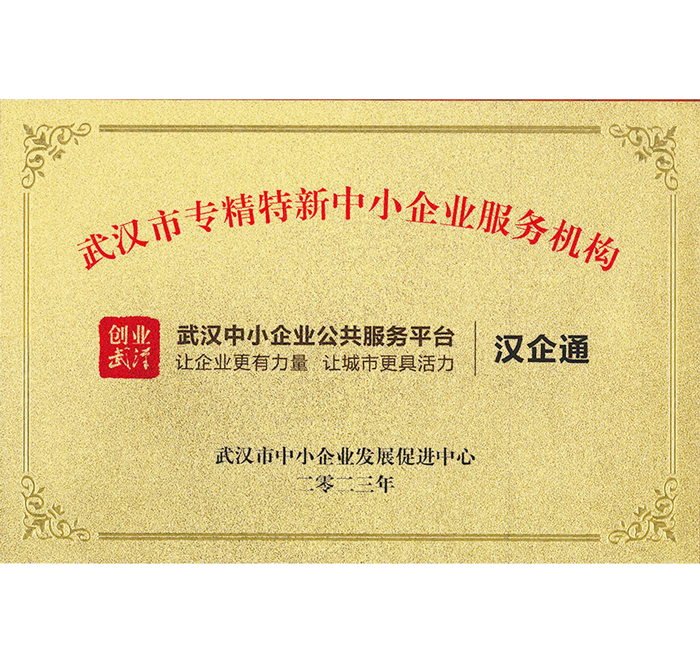 武汉市专精特新中小企业服务机构