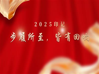 2025印记：步履所至，皆有回响